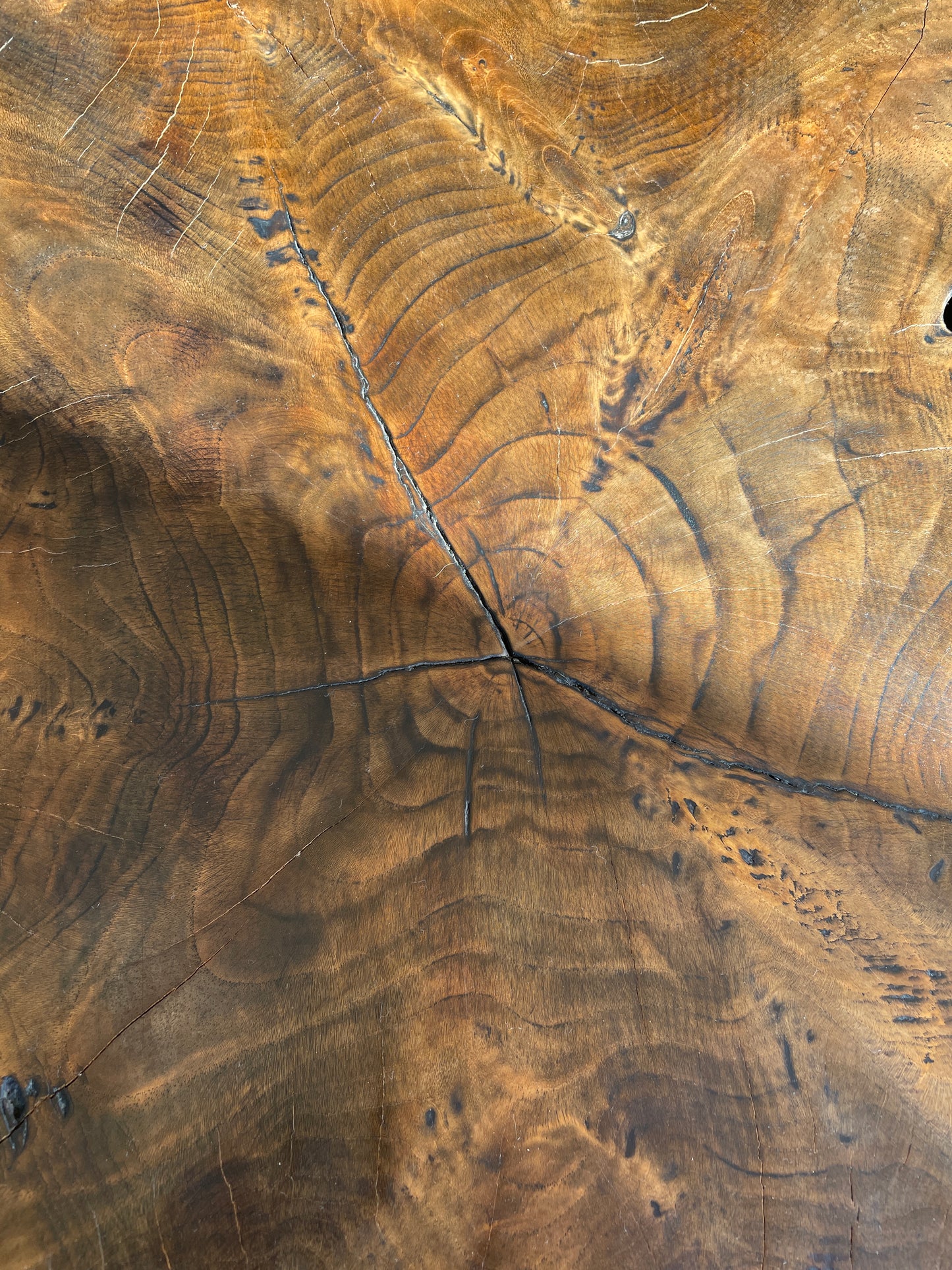 Andrianna Shamaris Teak Root Coffee Table (0HV002)