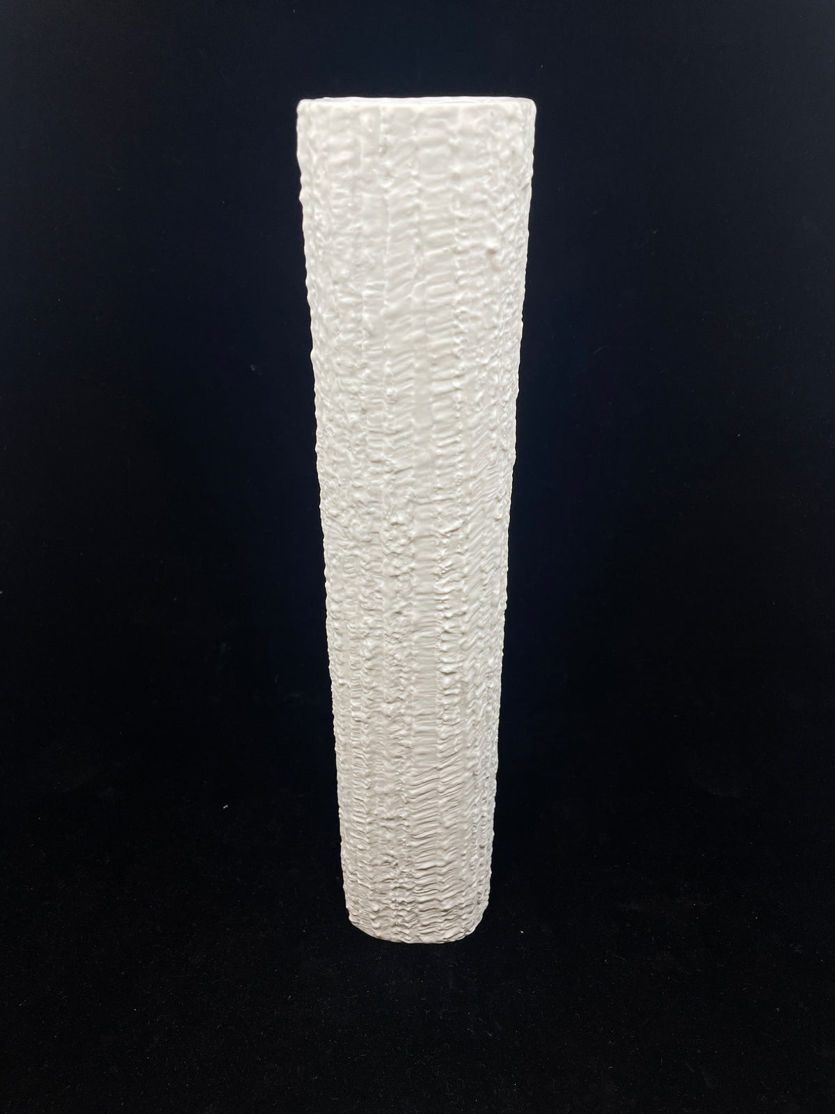 Rosenthal Vase Thomas Richard Scharrer (0DW006)