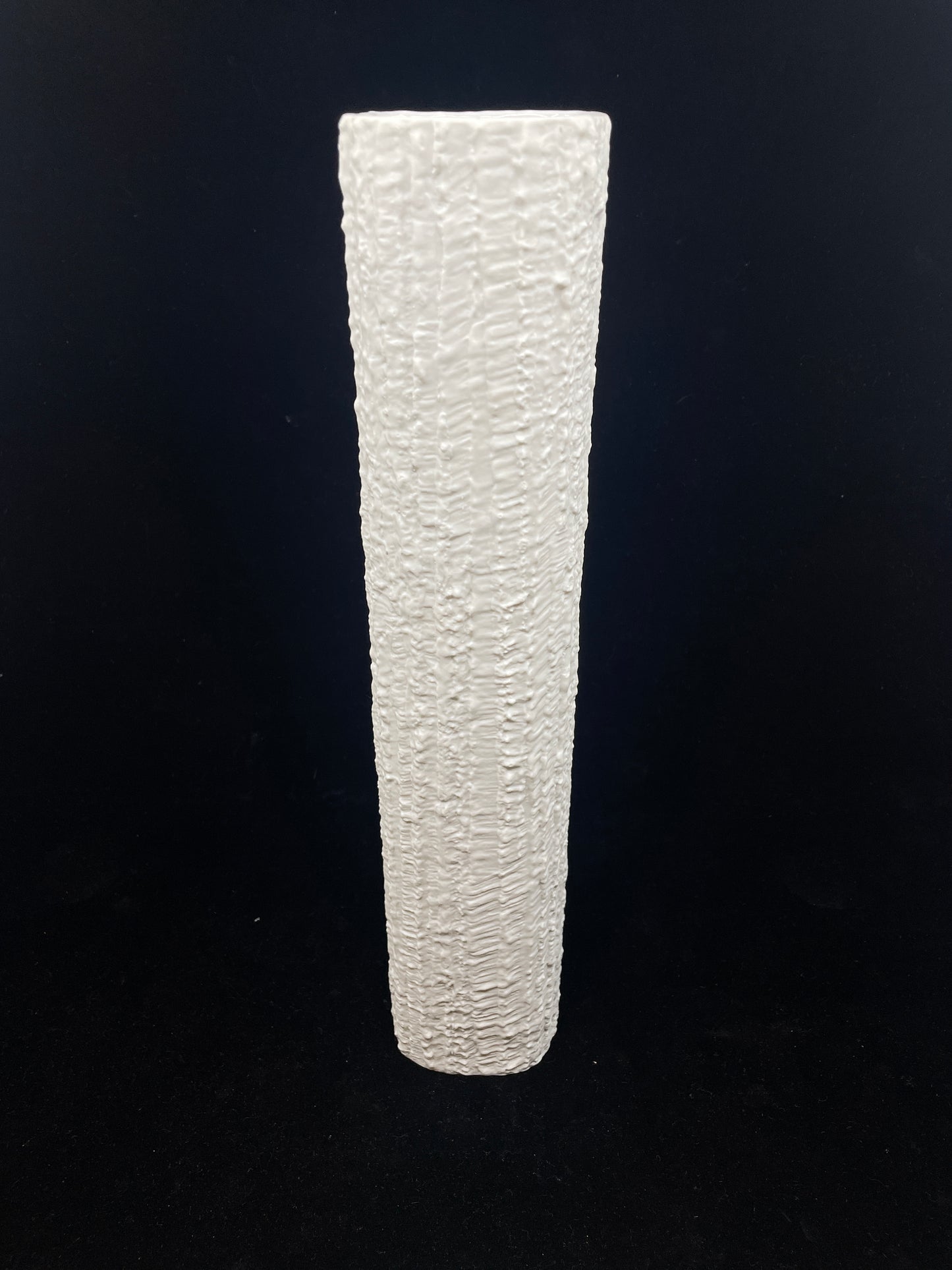 Rosenthal Vase Thomas Richard Scharrer (0DW006)