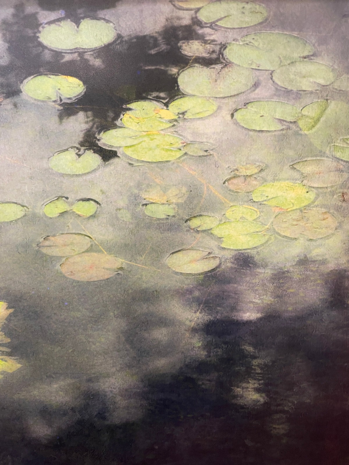 Robert Cholke Lilypads print (0PQ011)