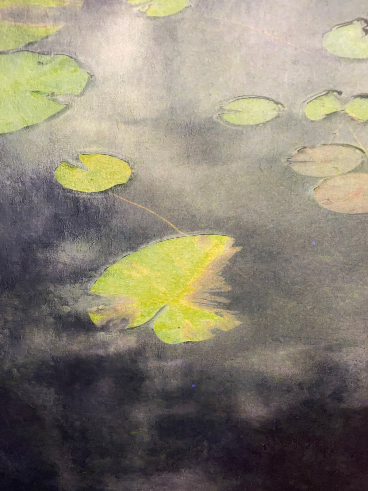 Robert Cholke Lilypads print (0PQ011)