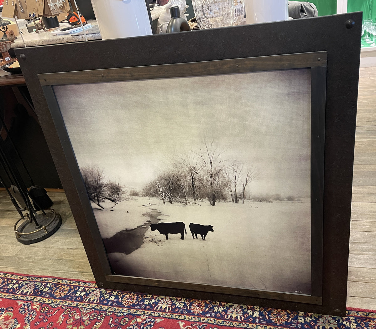 Robert Cholke Cow Photo, framed (0PQ010)