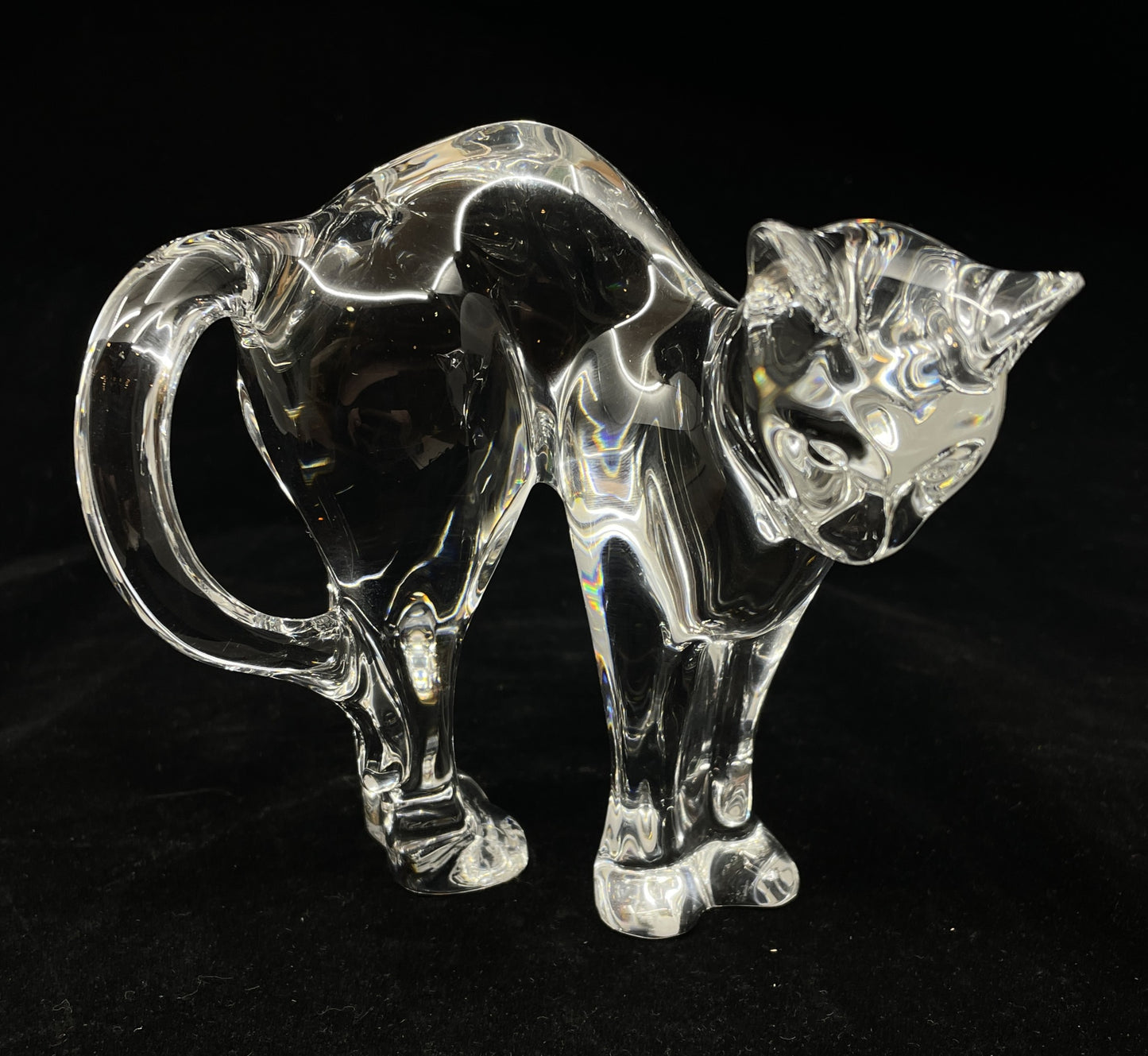 Baccarat Stretching Cat with Box (00P008)