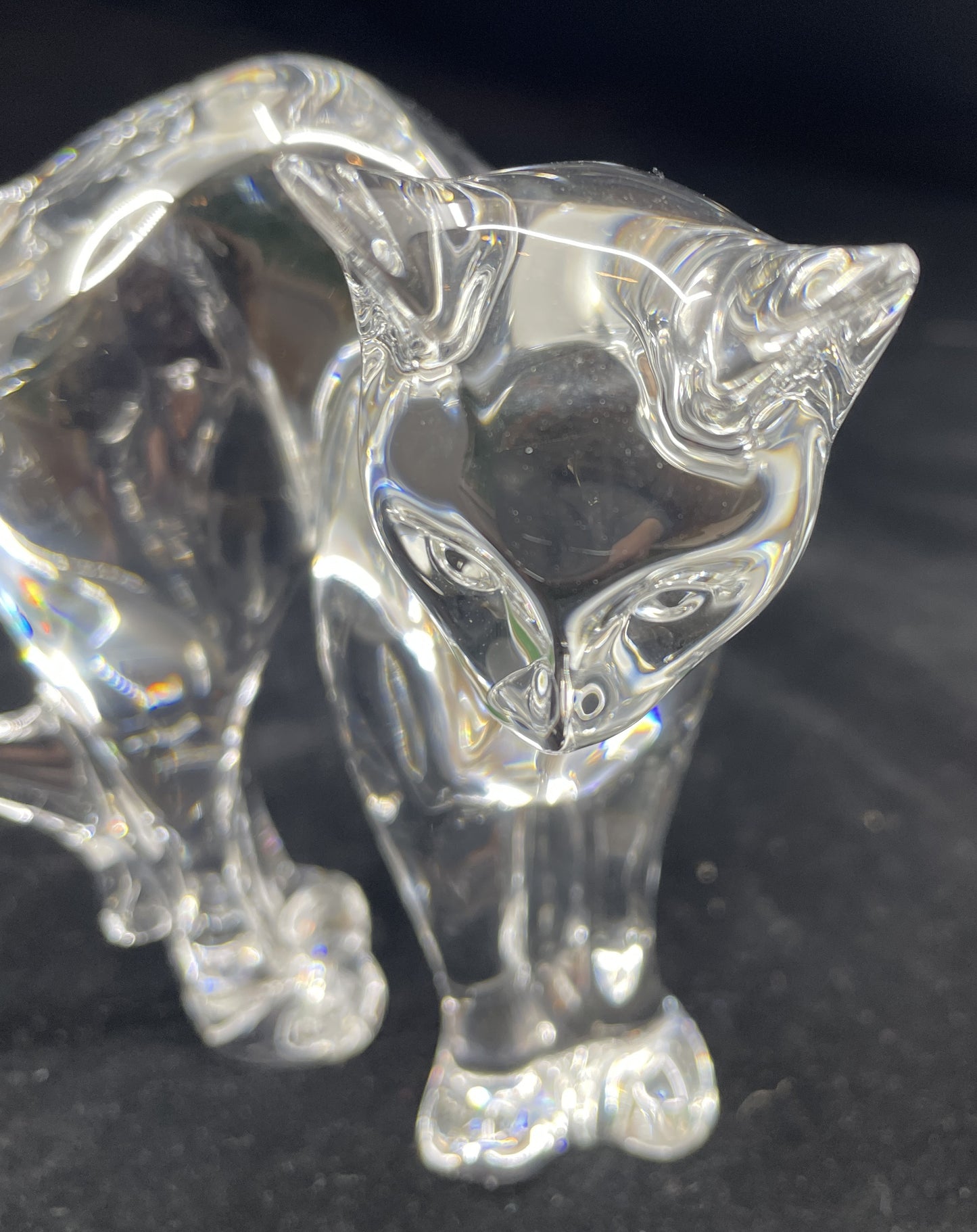 Baccarat Stretching Cat with Box (00P008)