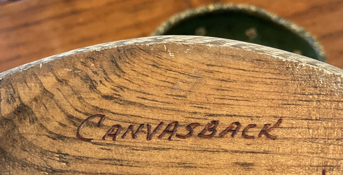 Gene Malin Canvasback Decoy (0PS002)