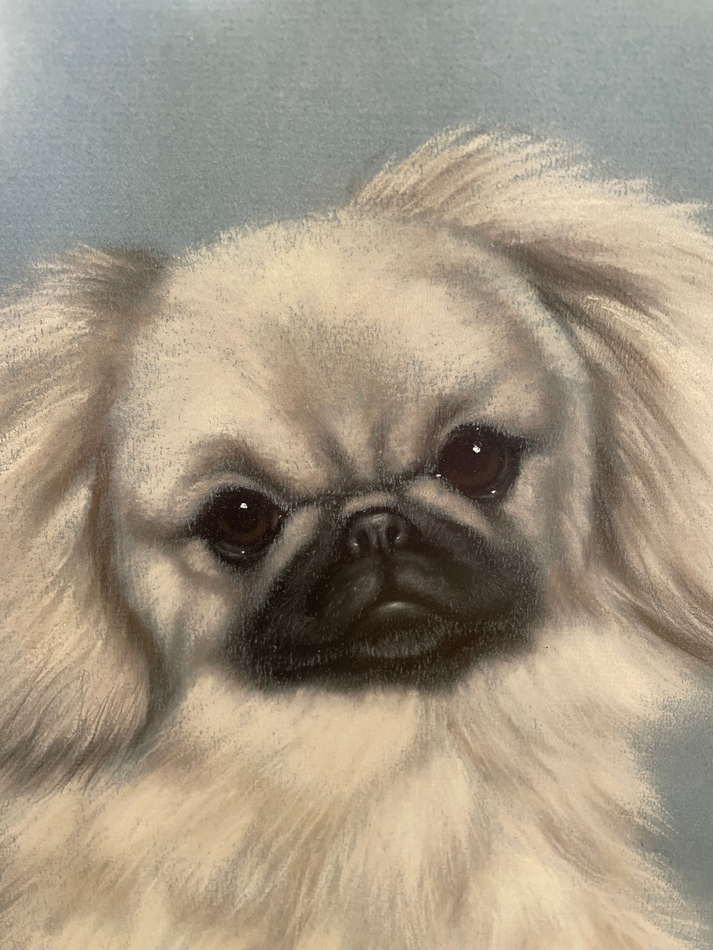 Robert Hickey (1914-2007) Pekingese "Whiffy" Acrylic (0M1008)
