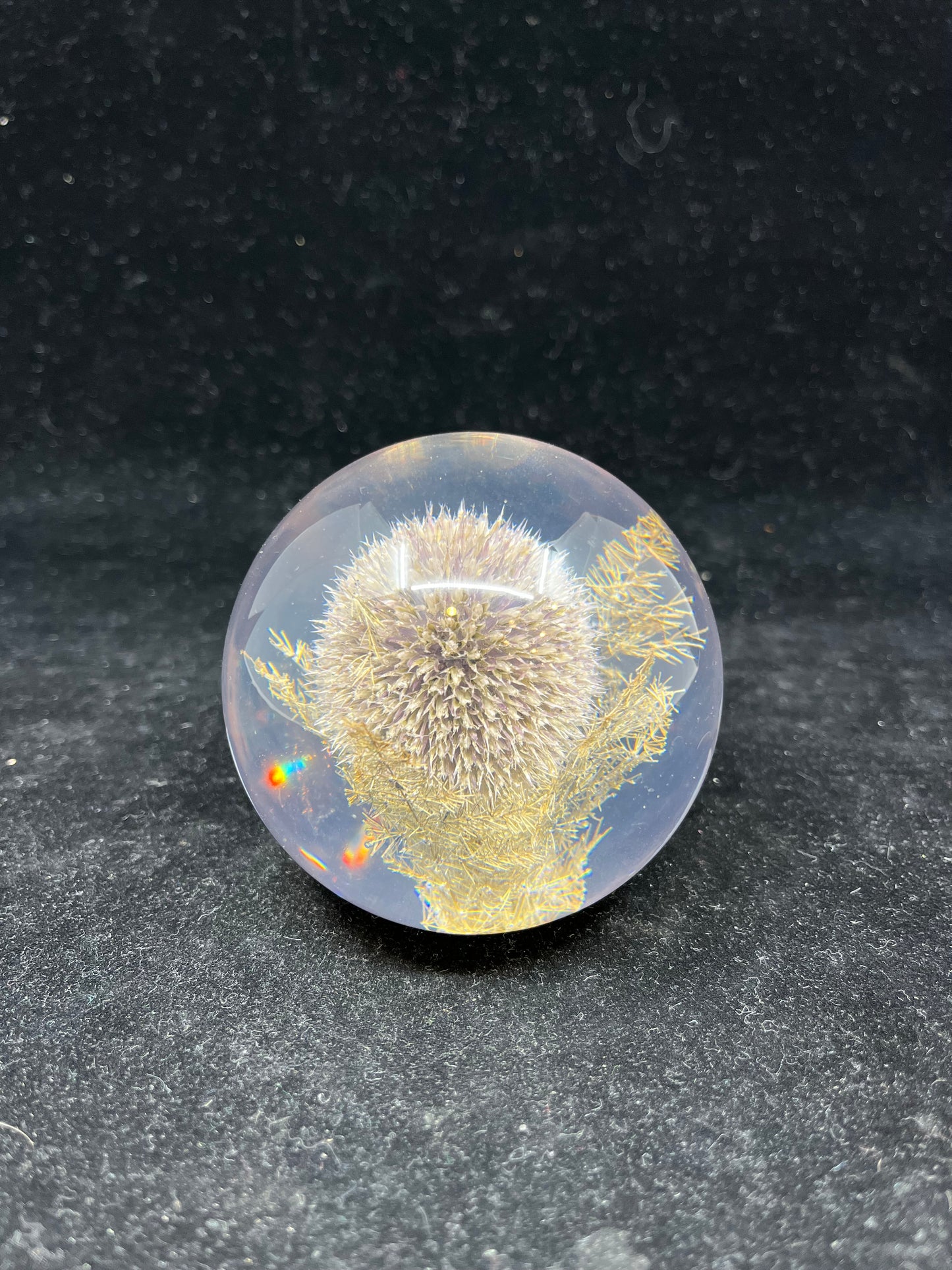 Haford Thistle Paper Weight (23793)