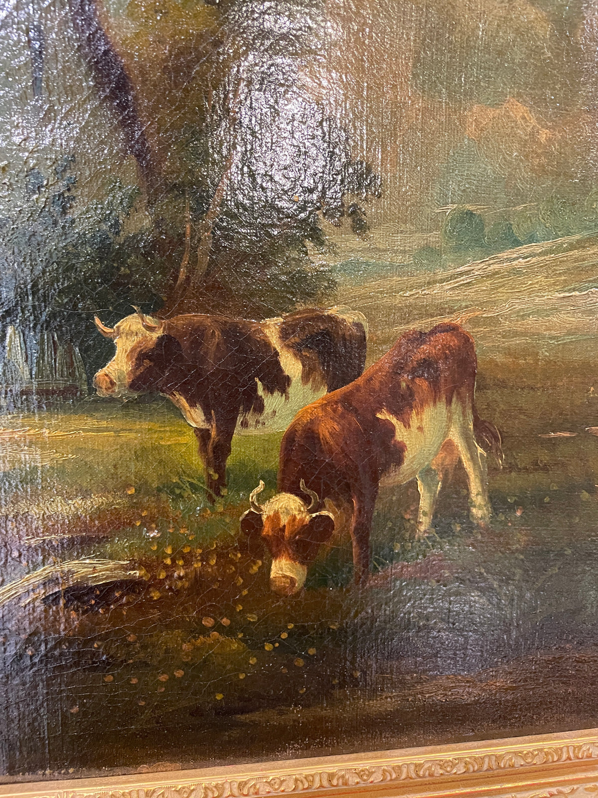 19th Century Oil on Canvas, Pastoral with Cows, Signed (0QH006)