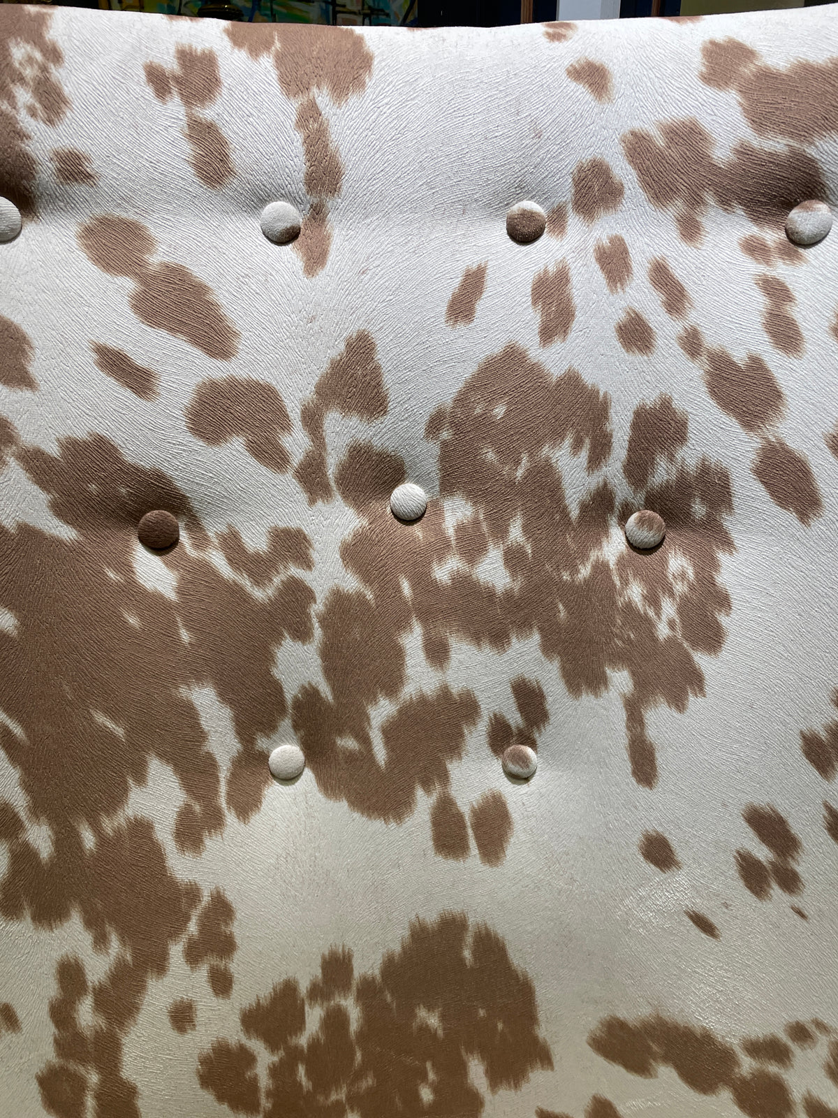 Brown Cow Wingback (0NX00P)