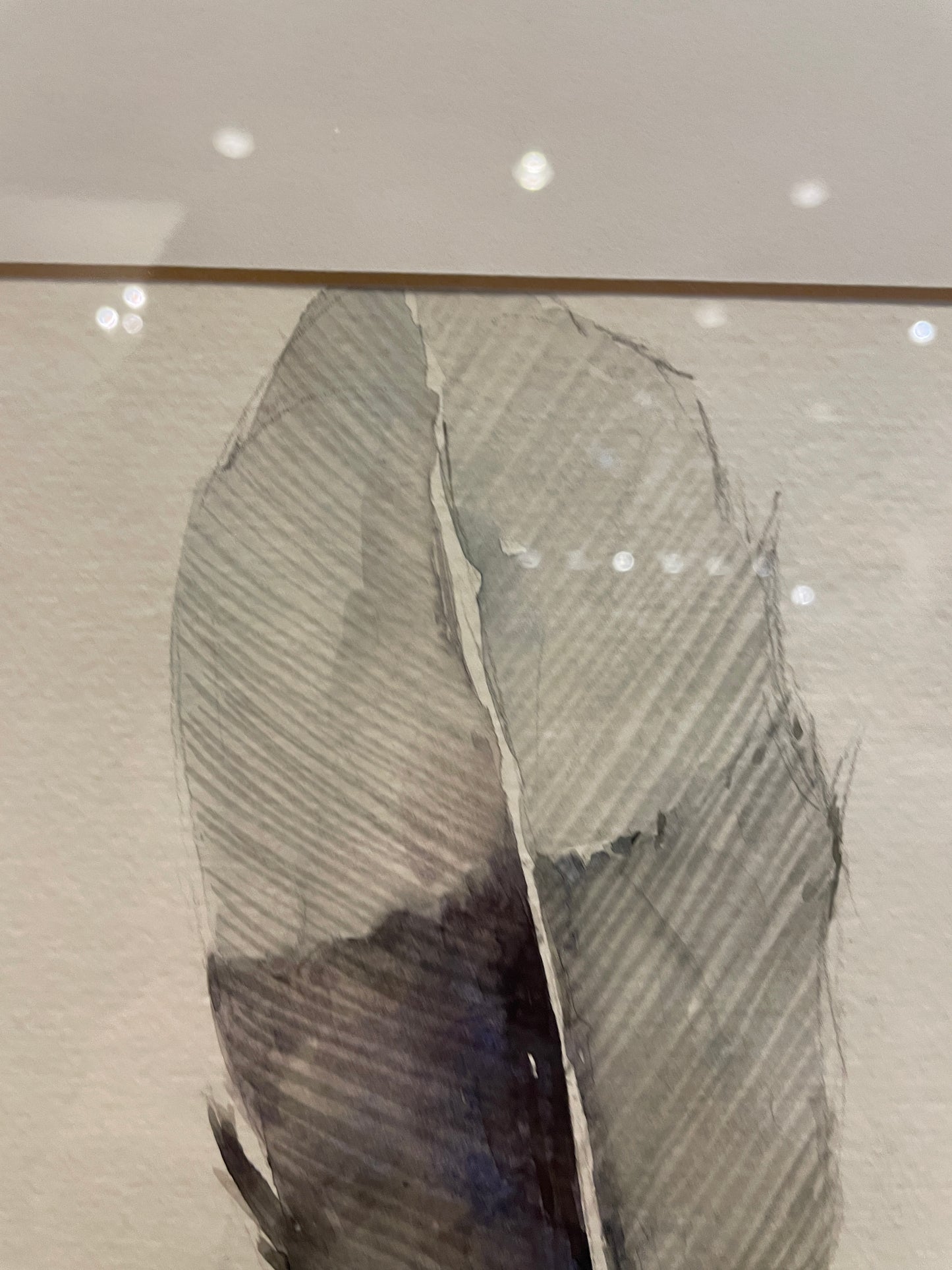 LeftBank Studios Feather Art by Sarah Brown (0IV00M)