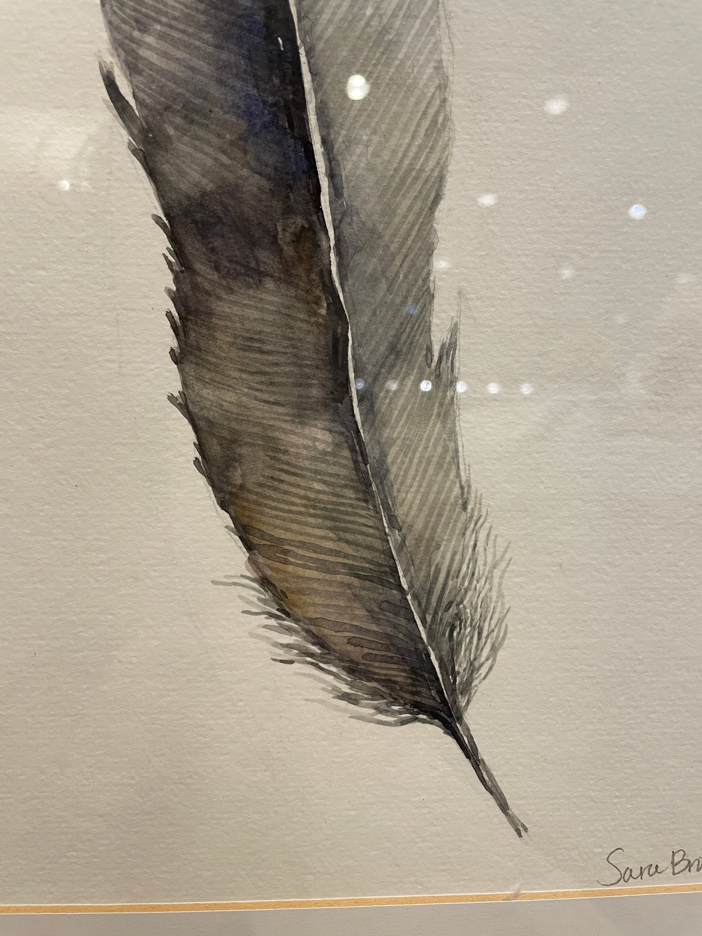 LeftBank Studios Feather Art by Sarah Brown (0IV00M)