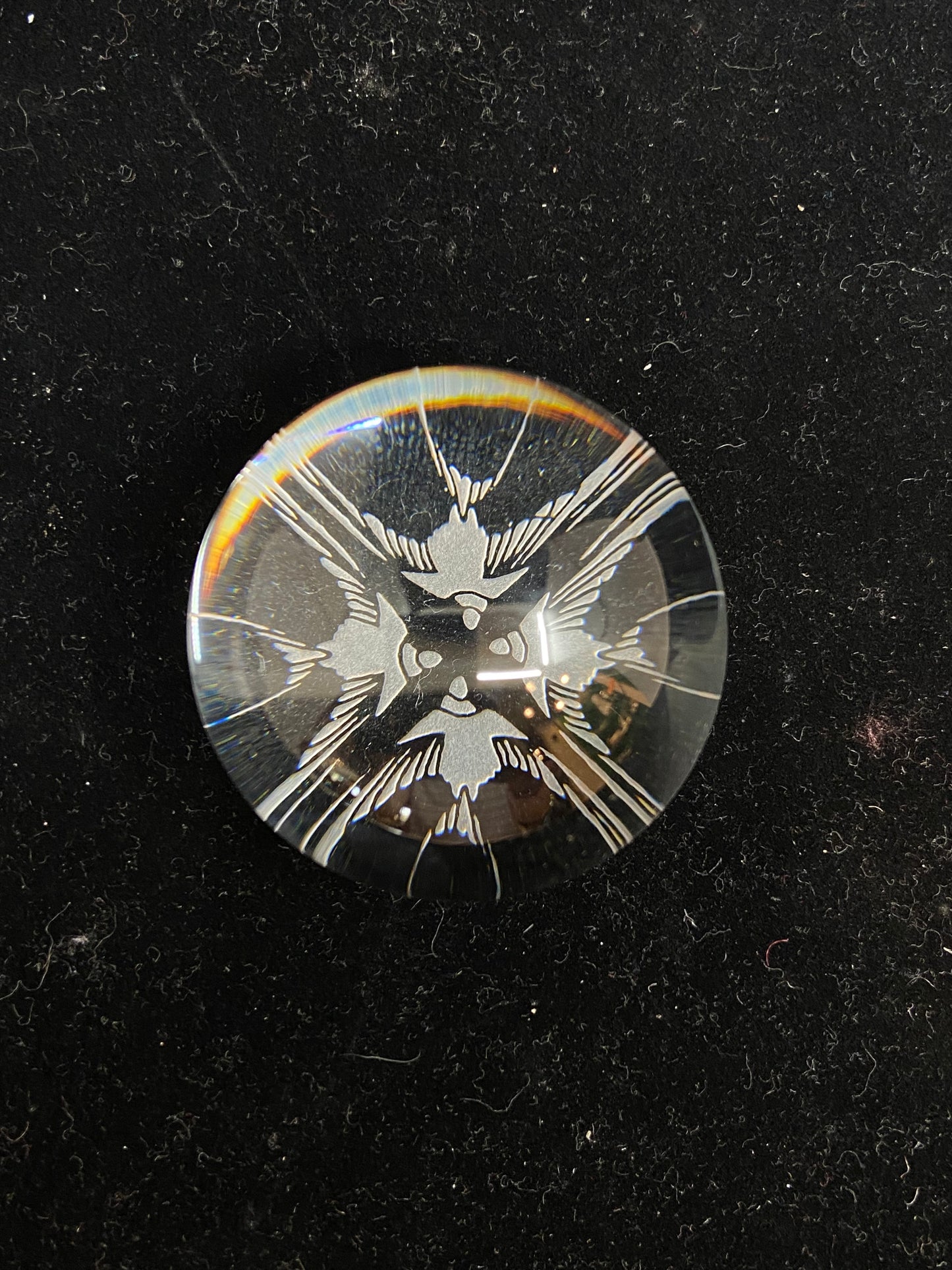 Lalique Bird Etched Bubble Paperweight (H3CJ3W, 6H9YNR)