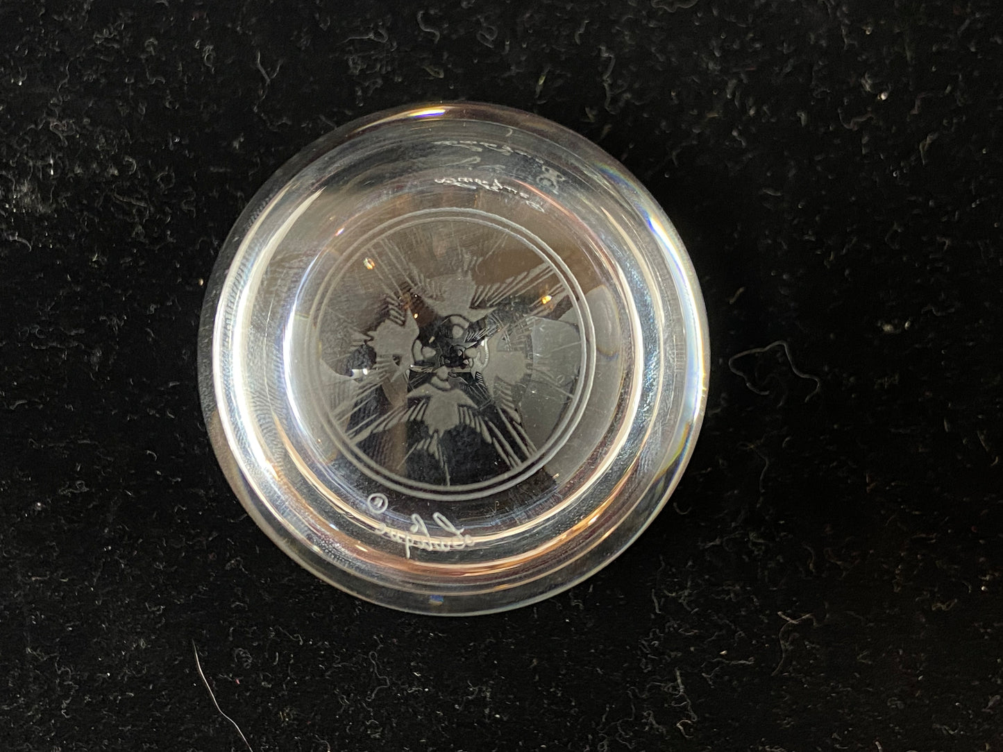 Lalique Bird Etched Bubble Paperweight (H3CJ3W, 6H9YNR)