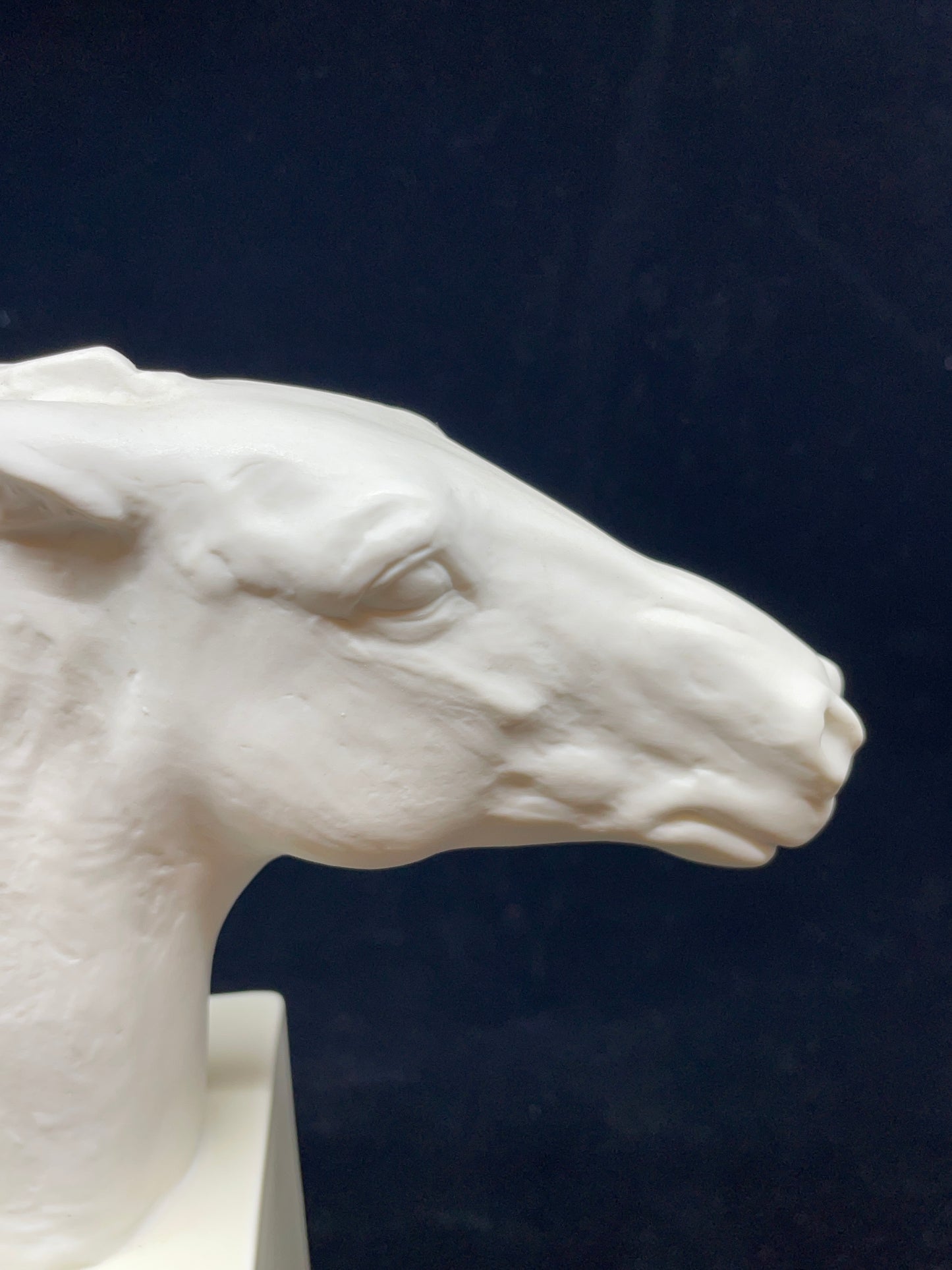 Rosenthal Hannibal Porcelain Horse Head (0DW01S)