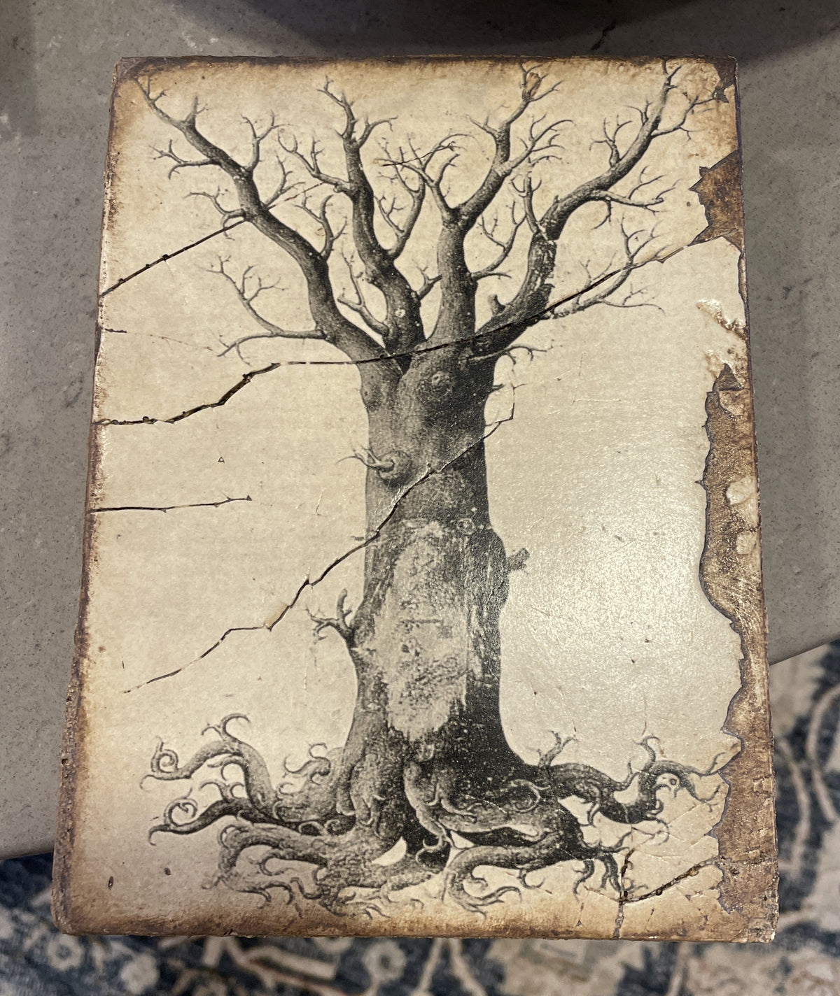 Sid Dickens T125 Tree (0QP00K)