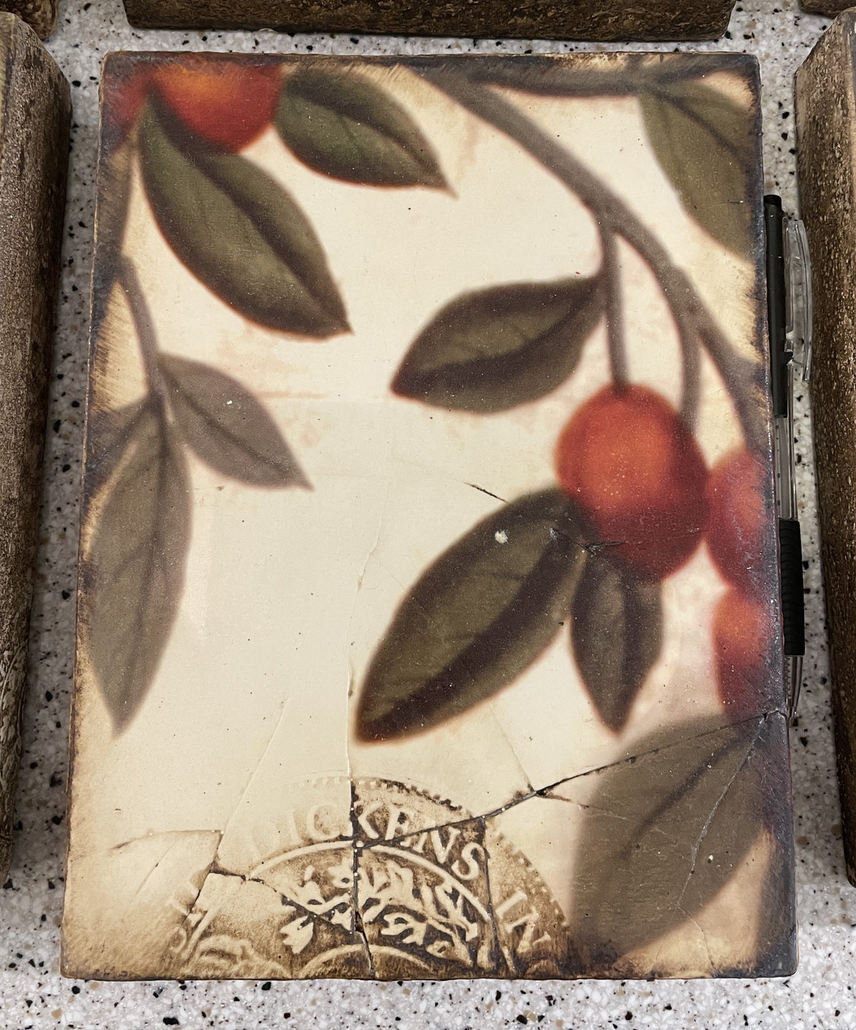 Sid Dickens T100 Plums (0QP00P)