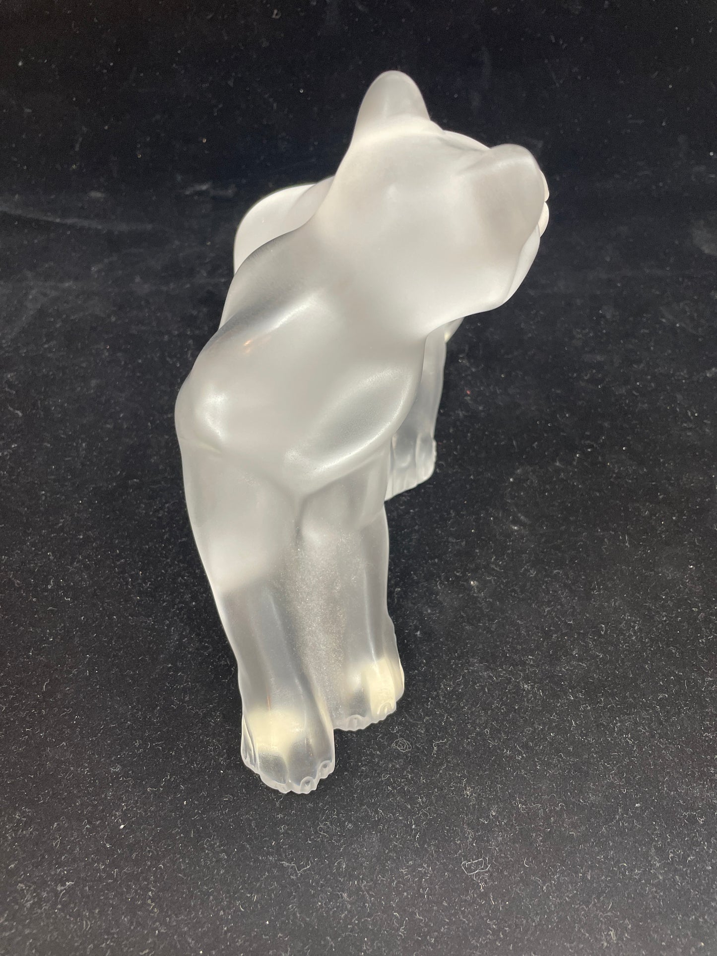 Lalique Simba Mother Lion (03001V)