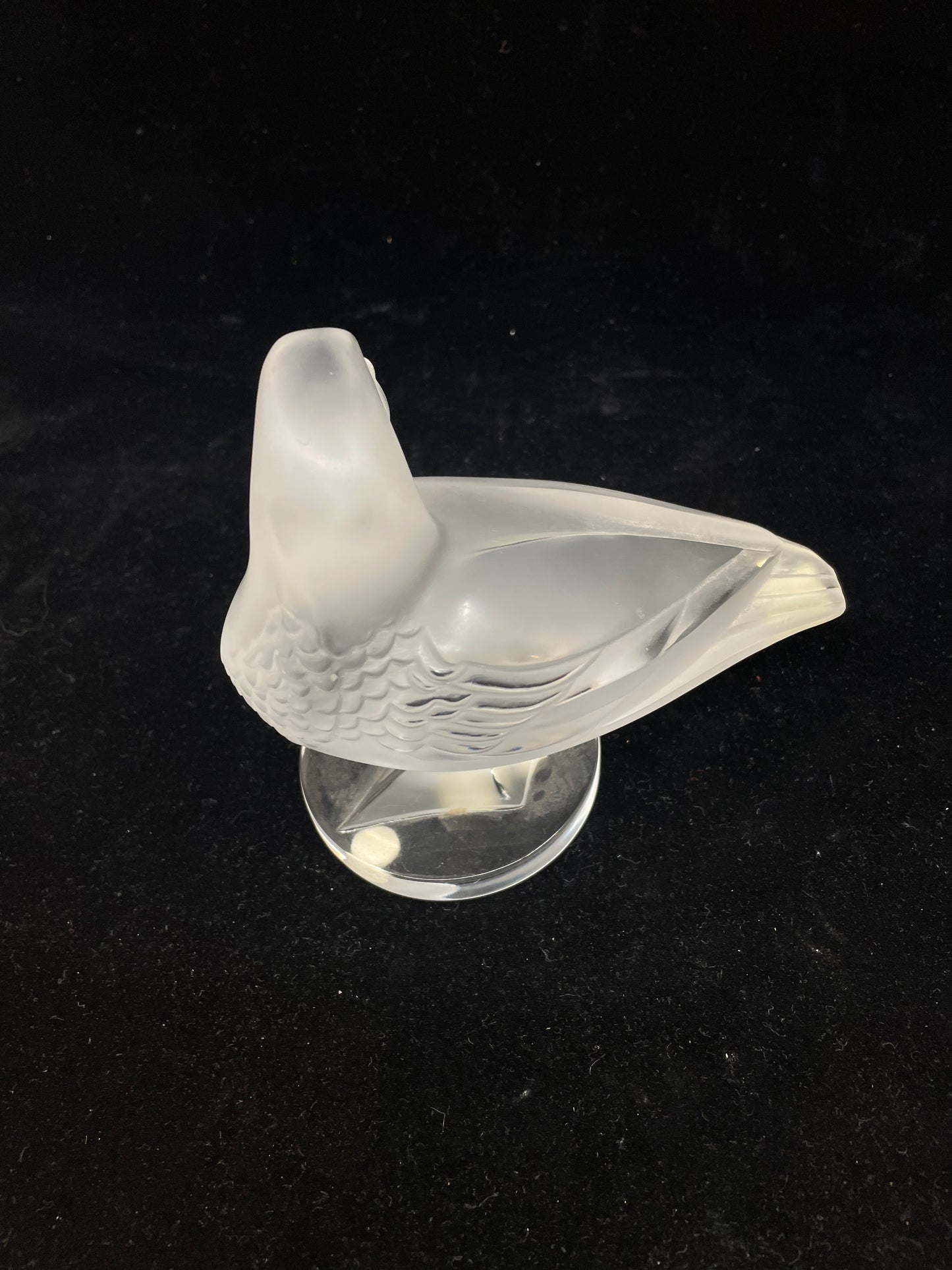 Lalique Duck Tucked Head (03001X)