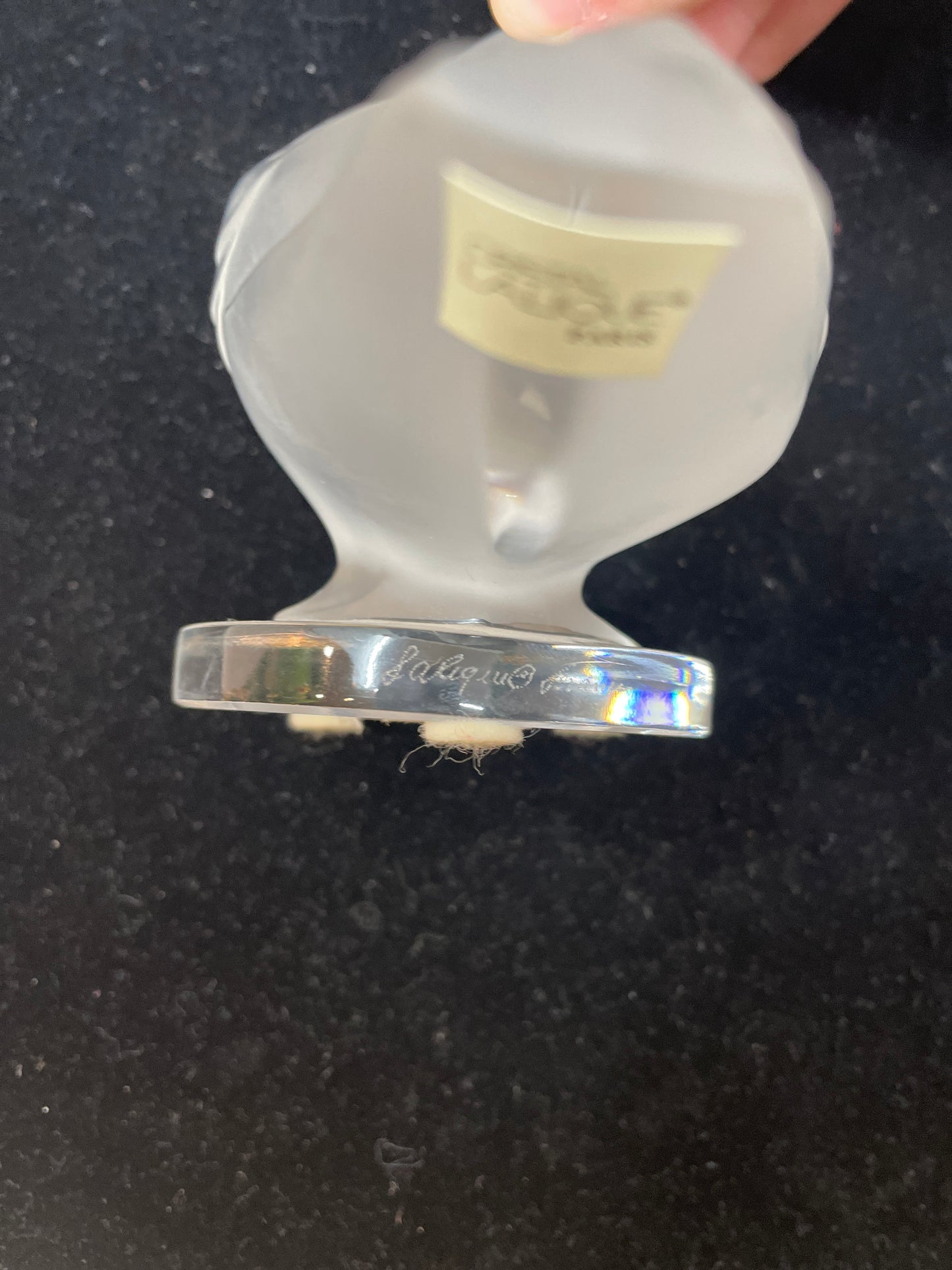 Lalique Duck Tucked Head (03001X)